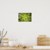 Poster Un couvert d'arbre lumineux (Cuisine)