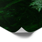 Poster Un couvert d'arbres illuminé dans la jungle tropic (Coin)