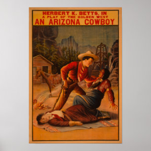 Poster Un cowboy de l'Arizona - La lutte des cowboys et d
