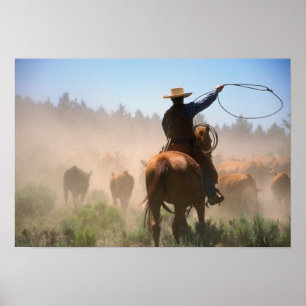 Poster Un cowboy travaillant le troupeau dans un élevage
