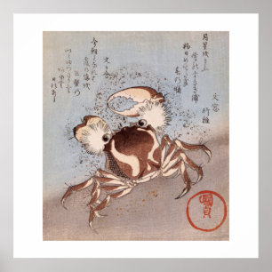Poster Un crabe sur le bord de la mer