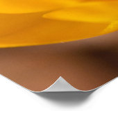 Poster Un crocus jaune fleurit à Portsmouth, New (Coin)