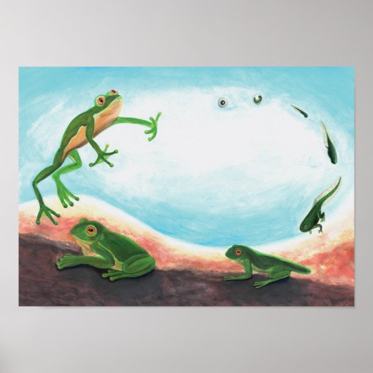Poster Un cycle de vie étonnant d'une grenouille (Devant)