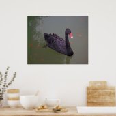 Poster Un cygne noir sur l'eau (Cuisine)