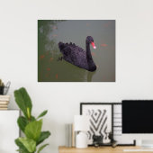 Poster Un cygne noir sur l'eau (Bureau à domicile)