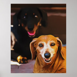 Poster Un Dachshund Chaud Pendant La Chaleur Été