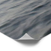 Poster Un dauphin qui saute (Coin)