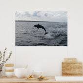Poster Un dauphin qui saute (Cuisine)