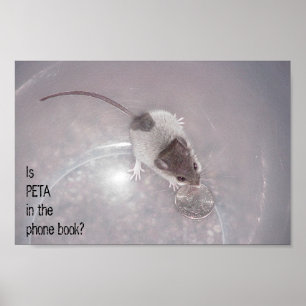 Poster Un dernier appel