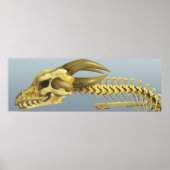 Poster Un Dragon (Devant)