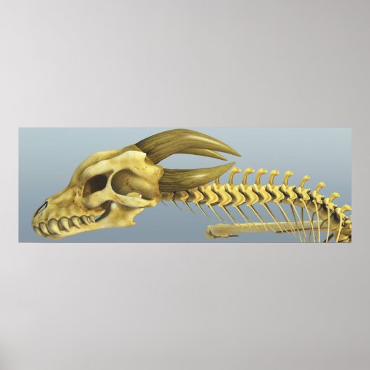 Poster Un Dragon (Devant)