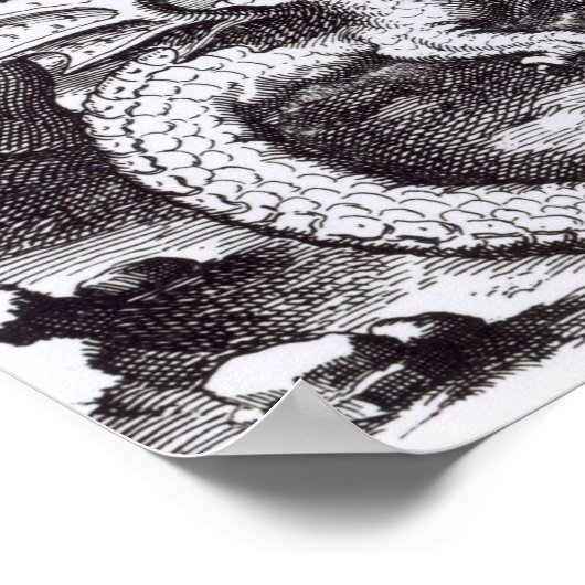 Poster Un dragon dans la forêt (Coin)