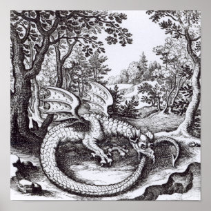 Poster Un dragon dans la forêt