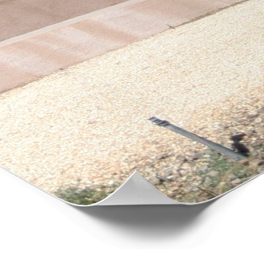 Poster Un dragon différent (Coin)