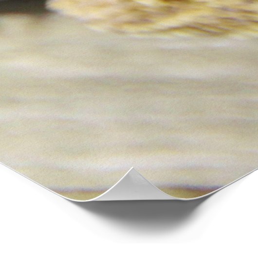 Poster Un Dragon Joli (Coin)