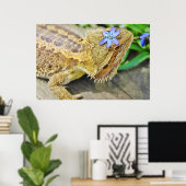 Poster Un Dragon Joli (Bureau à domicile)