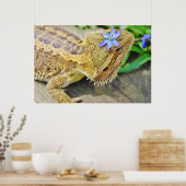 Poster Un Dragon Joli (Cuisine)