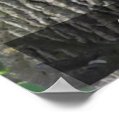 Poster Un écureuil endormi se rafraîchit sur une branche  (Coin)