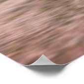 Poster Un elfe de maïs sur l'affiche de l'escargot (Coin)