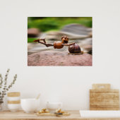 Poster Un elfe de maïs sur l'affiche de l'escargot (Cuisine)