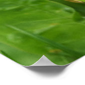 Poster Un elfe d'maïs sautant sur des pissenlits sur le p (Coin)