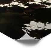 Poster Un endroit lumineux dans une forêt sombre (Coin)