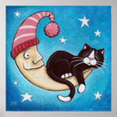 Poster Un Endroit Plus Sûr Pour Une Sieste En Chat (Devant)