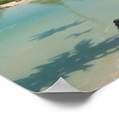 Poster un endroit secret de snorkeling (Coin)