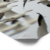 POSTER UN ÉNORME FLOC DENSE D'OEUVRE DE NEIGE S'ENSEMBLE  (Coin)