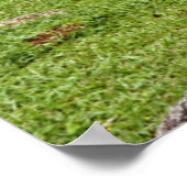 Poster Un Étang Avec Petite Banc En Bois (Coin)