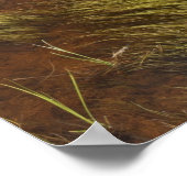 Poster Un Étang Qui Reflète Les Nuages (Coin)