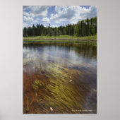 Poster Un Étang Qui Reflète Les Nuages (Devant)