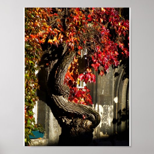 Poster Un Être Ancien (Devant)