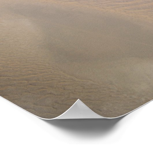 Poster Un F-16 émirati (Coin)