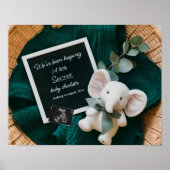 Poster Un faire-part de grossesse en panier Neutre confor (Devant)