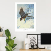 Poster Un faucon-mouche en vol (Bureau à domicile)