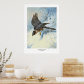Poster Un faucon-mouche en vol (Cuisine)