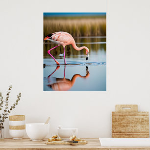 Poster Un flamant rose voyant son reflet dans l'eau