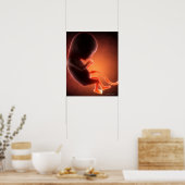 Poster Un foetus âgé de deux mois (Cuisine)