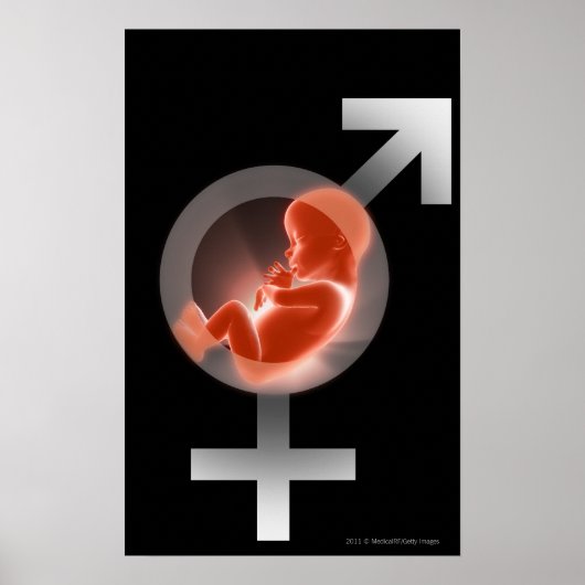 Poster Un foetus surélevé par rapport aux symboles mâles (Devant)