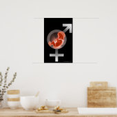 Poster Un foetus surélevé par rapport aux symboles mâles  (Cuisine)