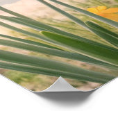 Poster Un fond floral printanier (Coin)