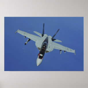Poster Un frelon superbe de la marine F/A-18F des USA en
