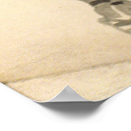 Poster Un fusil des geôliers autrichiens (Coin)