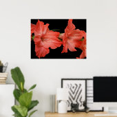 Poster un gladiola rose (Bureau à domicile)