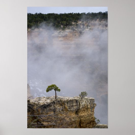 Poster Un grand canyon solitaire (Devant)