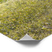 Poster Un grand orignal se dresse au milieu des saules (Coin)