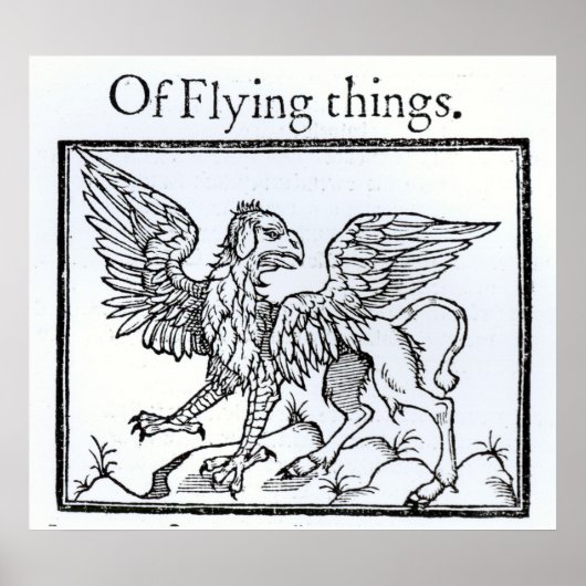 Poster Un Griffin (Devant)