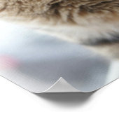 Poster Un Gros Plan D'Un Chat Assis Sur Une Fenêtre (Coin)