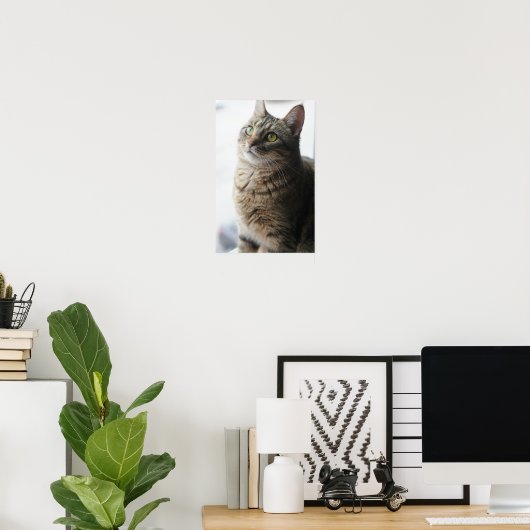 Poster Un Gros Plan D'Un Chat Assis Sur Une Fenêtre (Bureau à domicile)